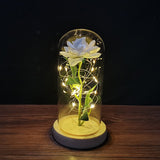 Enchanted Rose Lamp