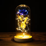 Enchanted Rose Lamp