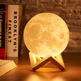 Moonlit Nights Lunar Lamp