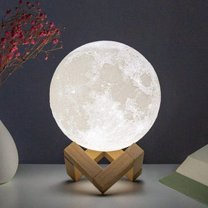 Moonlit Nights Lunar Lamp