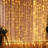 Enchanted Light Curtain