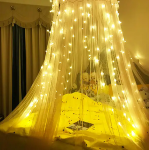 Enchanted Light Curtain